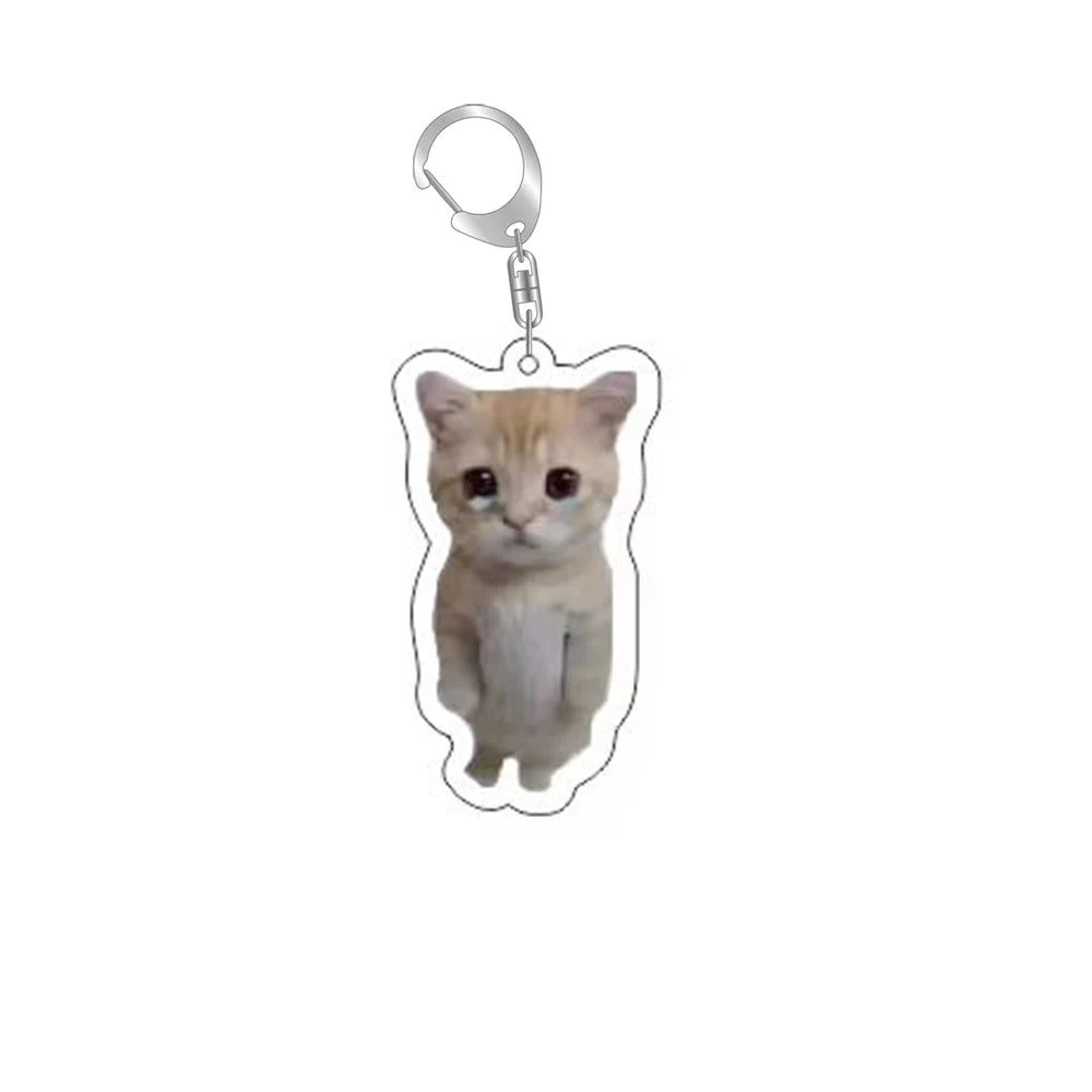 MeowMeme Key 🐱
