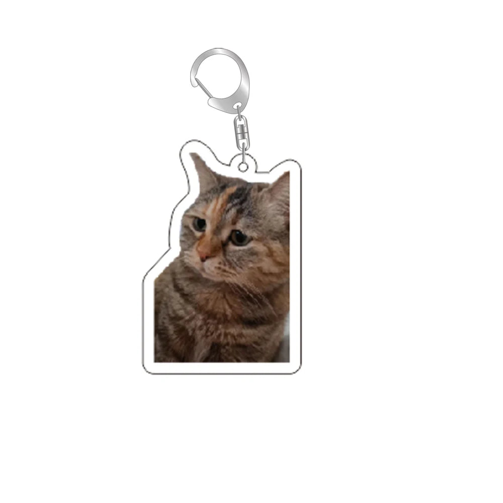 MeowMeme Key 🐱