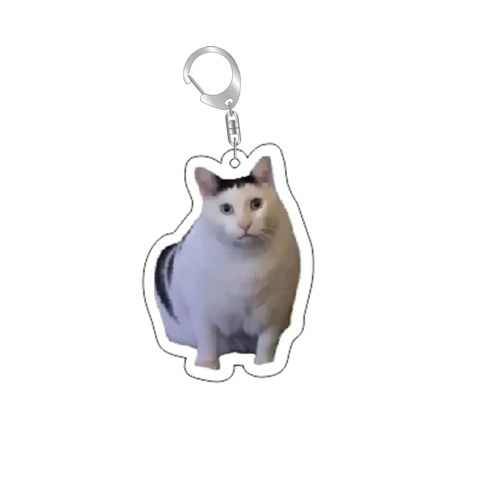 MeowMeme Key 🐱
