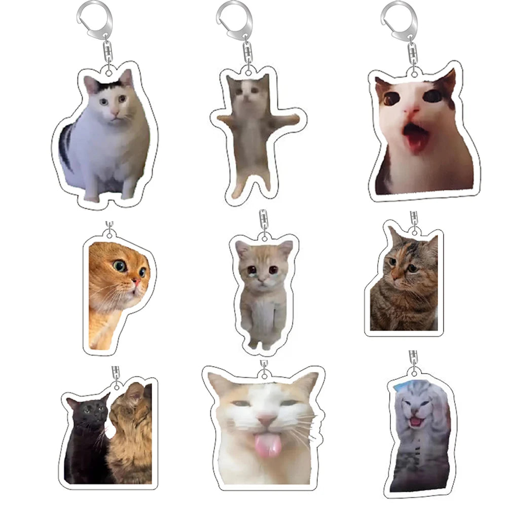 MeowMeme Key 🐱